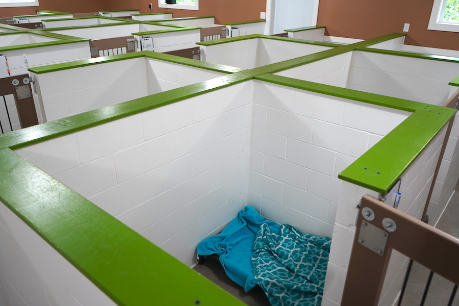 A top-down view of the suites offered at The Barking Birch. The suits have white walls and a green trim on top.